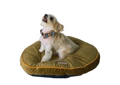 sage green dog bed