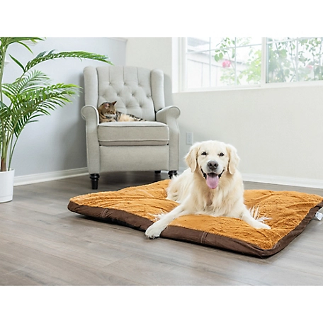 Armarkat Washable Dog Bed for Medium Dogs,Puppy Bed Poly Fill Cushion Mattress Pet Bed