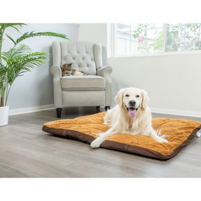 Armarkat Washable Dog Bed for Medium Dogs,Puppy Bed Poly Fill Cushion Mattress Pet Bed I have a very large yellow Labrador retriever named Tank