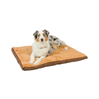 Image showing  Washable Dog Bed for Medium Dogs, Puppy Bed Poly Fill Cushion Mattress Pet Bed