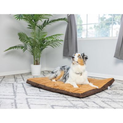 Image showing 6 th Armarkat Washable Dog Bed for Medium Dogs, Puppy Bed Poly Fill Cushion Mattress Pet Bed