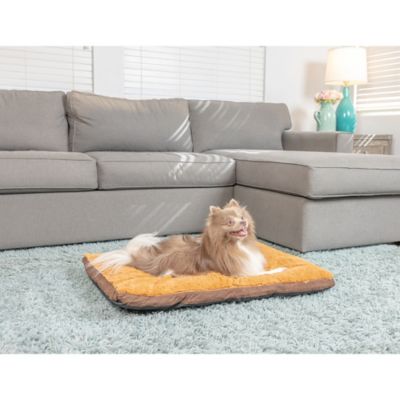Image showing 7 th Armarkat Washable Dog Bed for Medium Dogs, Puppy Bed Poly Fill Cushion Mattress Pet Bed