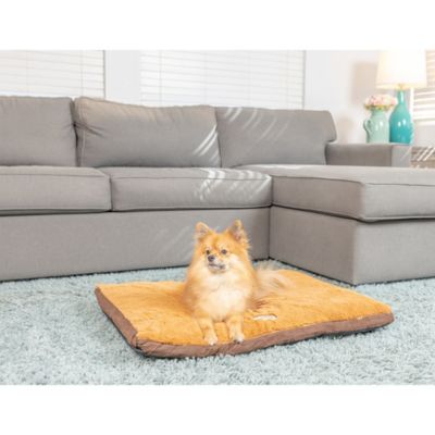 Image showing 8 th Armarkat Washable Dog Bed for Medium Dogs, Puppy Bed Poly Fill Cushion Mattress Pet Bed