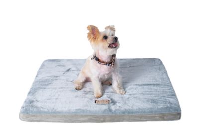 Image showing  Memory Foam Mattress Dog Bed for Small and Medium Dogs