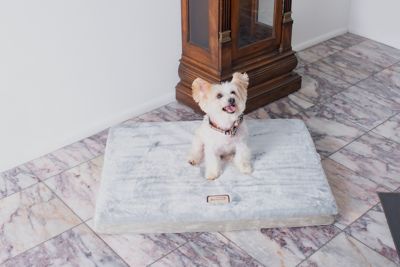 Image showing  Memory Foam Mattress Dog Bed for Small and Medium Dogs