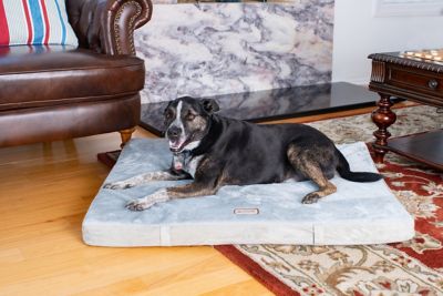 Image showing 7 th Armarkat Memory Foam Mattress Dog Bed for Small and Medium Dogs