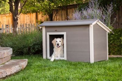 New Age Pet ThermoCore Canine Cabin Insulated Dog House with ECOFLEX The dog house is nicely constructed & looks great