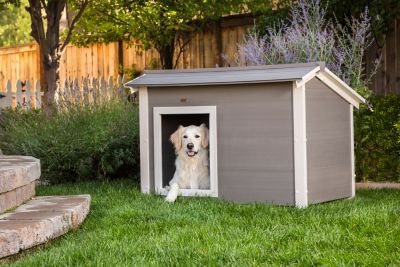 New Age Pet ThermoCore Canine Cabin Insulated Dog House with ECOFLEX