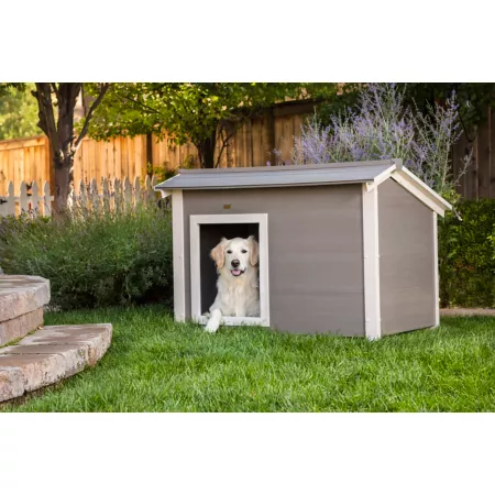 New Age Pet ThermoCore Outdoor Insulated Canine Cabin ECOFLEX Dog House Dog Houses