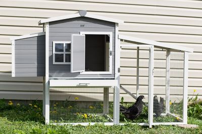 Image showing  Hampton Chicken Coop with Pen, 4 Chicken Capacity