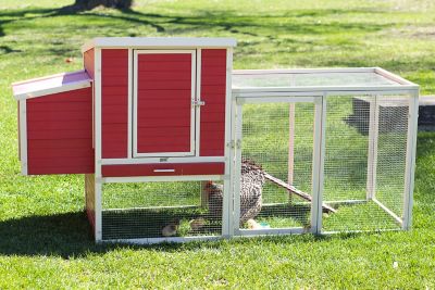 New Age Pet Sonoma Chicken Coop