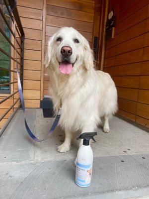 Image showing  24 oz. Waterless Pet Bath