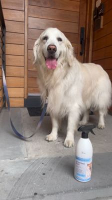 Image showing  24 oz. Waterless Pet Bath