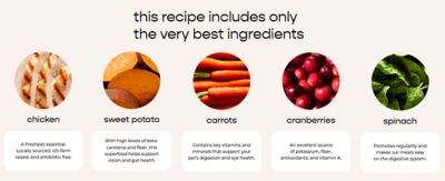 Image showing  Vital Clean Nutrition All Life Stages Shredded Chicken Recipe with Sweet Potatoes and Carrots Fresh Dog Food, 4.5 lb.