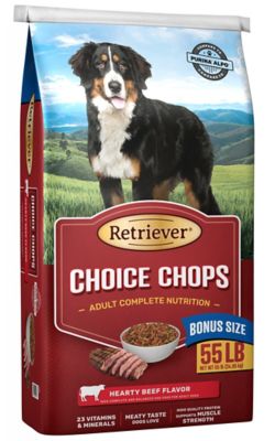 retriever dog food