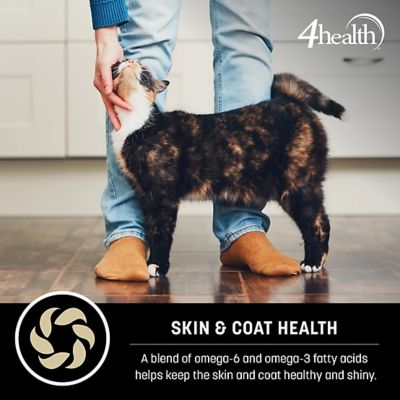 Image showing  Adult Indoor Urinary Tract Health Formula Dry Cat Food