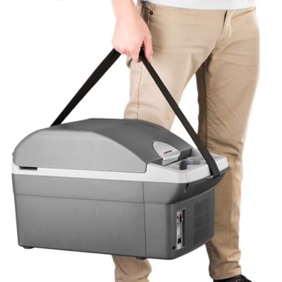 Image showing  12V Thermo-Electric 14L Cooler and Warmer, 12 in. L x 8.25 in. W x 5.5 in. H Internal Dimensions, 8 lb., 12V DC