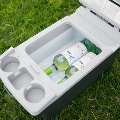 Image showing 6 th Wagan Tech 12V Thermo-Electric 14L Cooler and Warmer, 12 in. L x 8.25 in. W x 5.5 in. H Internal Dimensions, 8 lb., 12V DC