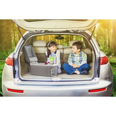 Image showing 9 th Wagan Tech 12V Thermo-Electric 14L Cooler and Warmer, 12 in. L x 8.25 in. W x 5.5 in. H Internal Dimensions, 8 lb., 12V DC