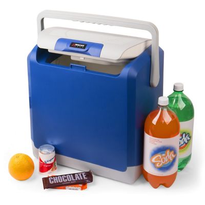 wagan 12v cooler
