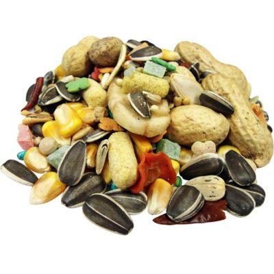 Image showing  Extreme! Gourmet Parrot Bird Food, 8 lb.