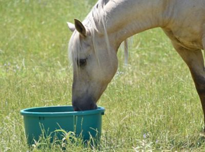 Westway Feed Products Sweetcake Equine Tub ClariFly Horse Feed Supplement, 125 lb.