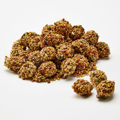 Image showing  Healthy Bit Parrot 4.5 oz.