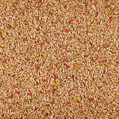 Image showing  Oat Groats Treat Jar 11 oz.