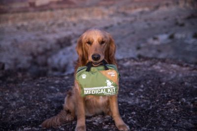 Image showing  Adventure Dog Series Workin' Dog First Aid Kit, 45 pc.