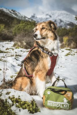 Image showing 5 th Adventure Medical Kits Adventure Dog Series Workin' Dog First Aid Kit, 45 pc.