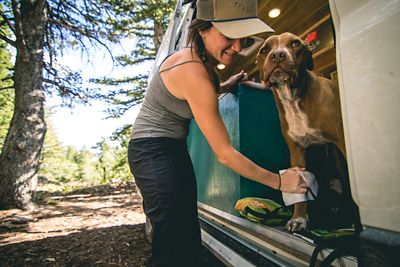 Image showing 5 th Adventure Medical Kits Adventure Wipes for Dogs