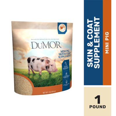 DuMOR Mini Pig Skin and Coat Supplement, 1 lb.