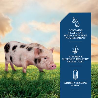 Image showing  Mini Pig Skin and Coat Supplement, 1 lb.