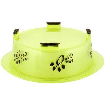 Image showing  Color Splash Designer Oval-Shaped Non-Skid Stainless Steel Fusion Pet Bowl, 1 pk., 52403