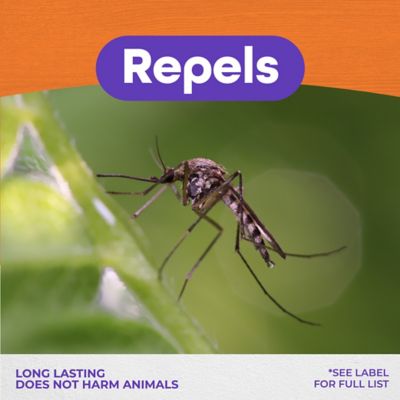 Image showing  564 Mosquito Beater Ready-To-Spray Area Repellent, 1 qt.