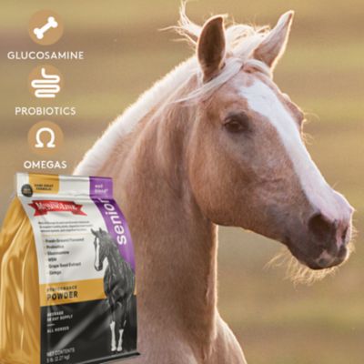 Image showing  The Missing Link Well Blend Senior Horse Supplement Powder, 5 lb. Bag, 50 Day Supply