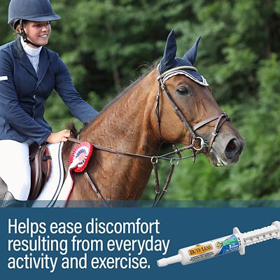 Image showing  Bute-Less Comfort and Recovery Horse Supplement Paste, 1 oz. Syringe, 3 Doses