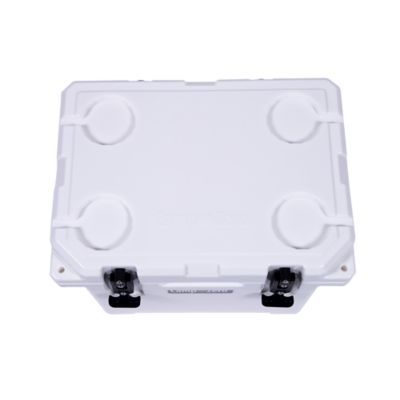 Image showing  10L-10.6 qt. Premium Cooler with 2 Molded-In Cup Holders and Folding Aluminum Comfort Grip Handle, White