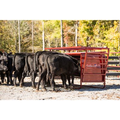 Tarter 1,000 lb. Creep Feeder with Feed Control Band, 5 Calf Stall Openings, Red