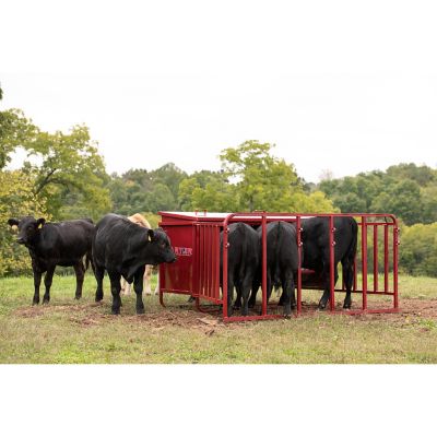 Image showing  1,000 lb. Creep Feeder with Feed Control Band, 5 Calf Stall Openings, Red