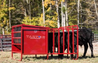 Image showing 6 th Tarter 1,000 lb. Creep Feeder with Feed Control Band, 5 Calf Stall Openings, Red