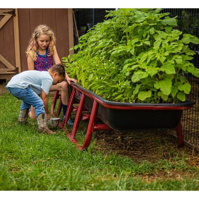 Image showing  Titan Poly Bunk Livestock Feeder