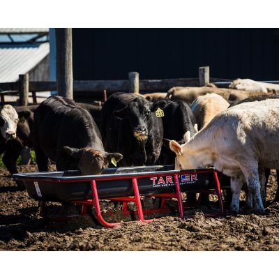 Image showing  Titan Poly Bunk Livestock Feeder