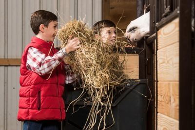 Image showing  Poly Corner-Mount Hay Feeder