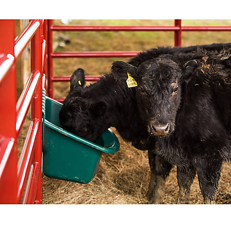 Cow Calf Cattle Livestock Farm Key Rack Hanger Holder Hooks Entryway Organizer 