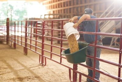 Image showing  15 gal. Portable Gate Livestock Feeder