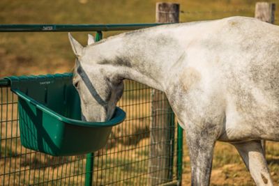Image showing 5 th Tarter 15 gal. Portable Gate Livestock Feeder