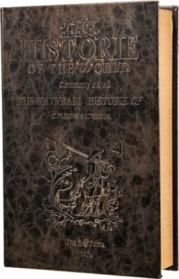 Image showing  Large Antique Book Lock Box with Key Lock