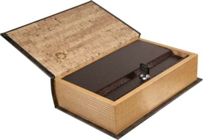 Image showing  Antique Book Lock Box with Key Lock
