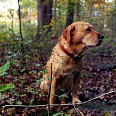 Image showing  330 ft. x 4 ft. Select Black Pet Fence